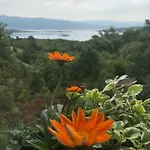 Ibis Apartament *