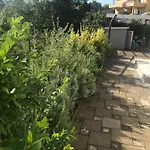 Ibis Apartament