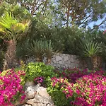 Apartmán Ibis