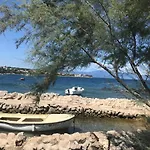 Ibis * Čižići