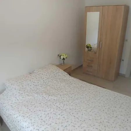 Ibis * Čižići