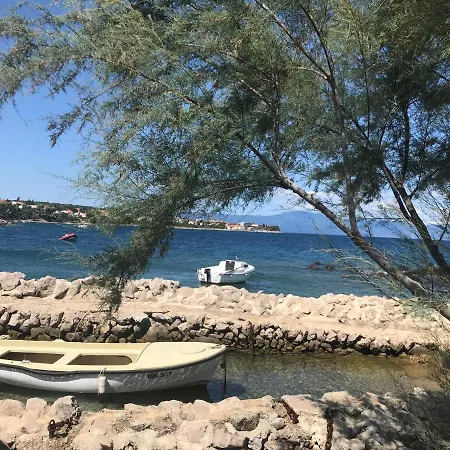 Ibis * Čižići