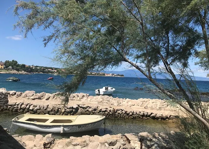 Ibis * Čižići